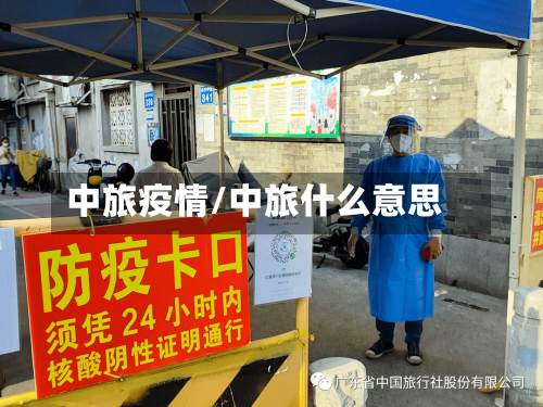 中旅疫情/中旅什么意思-第2张图片