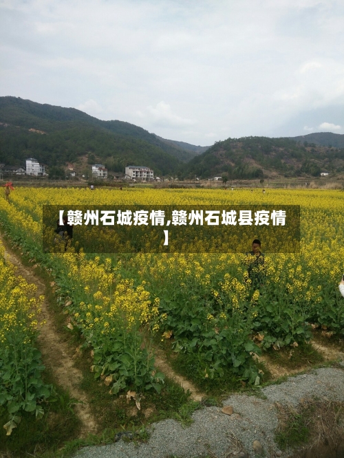 【赣州石城疫情,赣州石城县疫情】-第2张图片