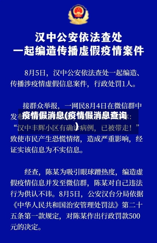 疫情假消息(疫情假消息查询)