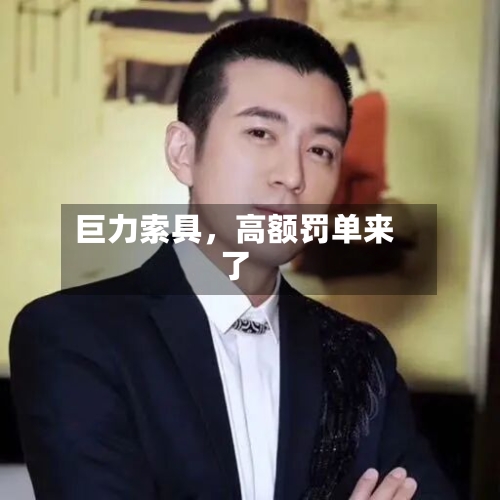 巨力索具，高额罚单来了-第3张图片