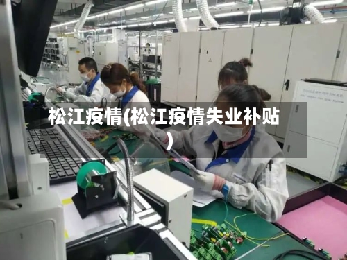 松江疫情(松江疫情失业补贴)-第2张图片