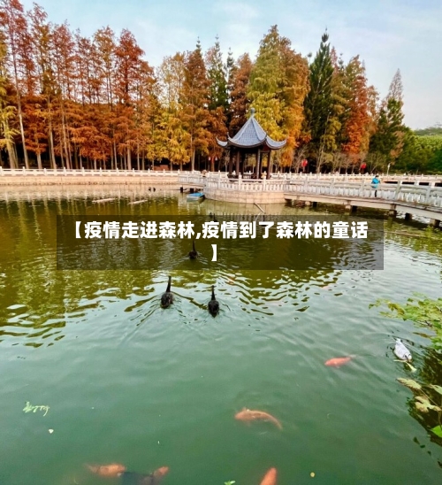 【疫情走进森林,疫情到了森林的童话】-第2张图片