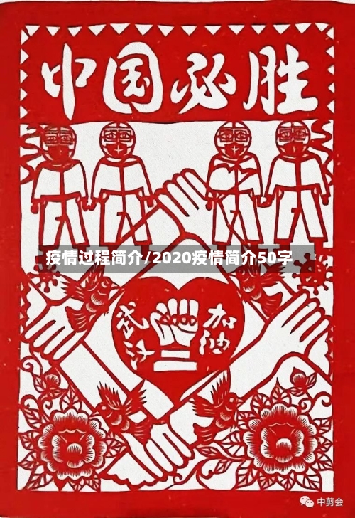 疫情过程简介/2020疫情简介50字
