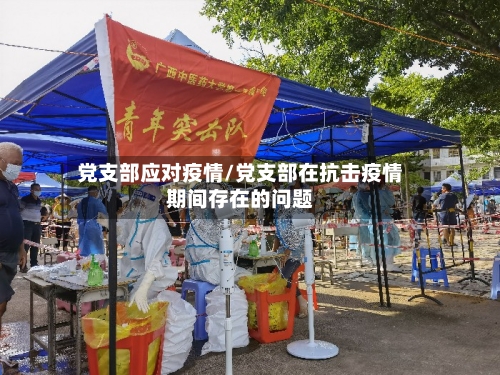 党支部应对疫情/党支部在抗击疫情期间存在的问题-第2张图片