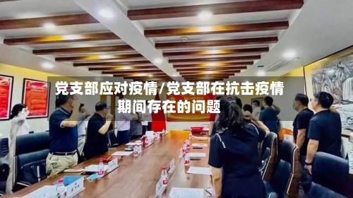 党支部应对疫情/党支部在抗击疫情期间存在的问题