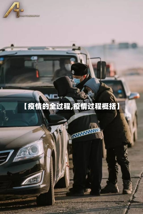 【疫情的全过程,疫情过程概括】