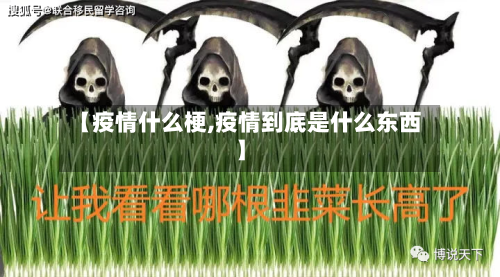 【疫情什么梗,疫情到底是什么东西】