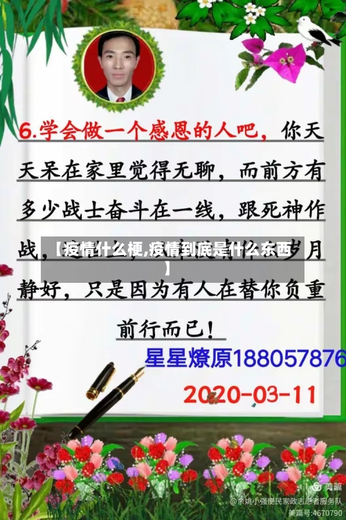 【疫情什么梗,疫情到底是什么东西】-第3张图片
