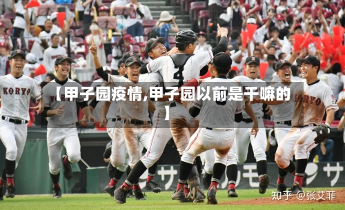 【甲子园疫情,甲子园以前是干嘛的】-第2张图片