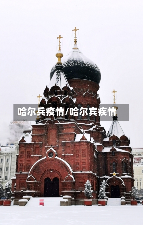 哈尔兵疫情/哈尔宾疾情-第2张图片
