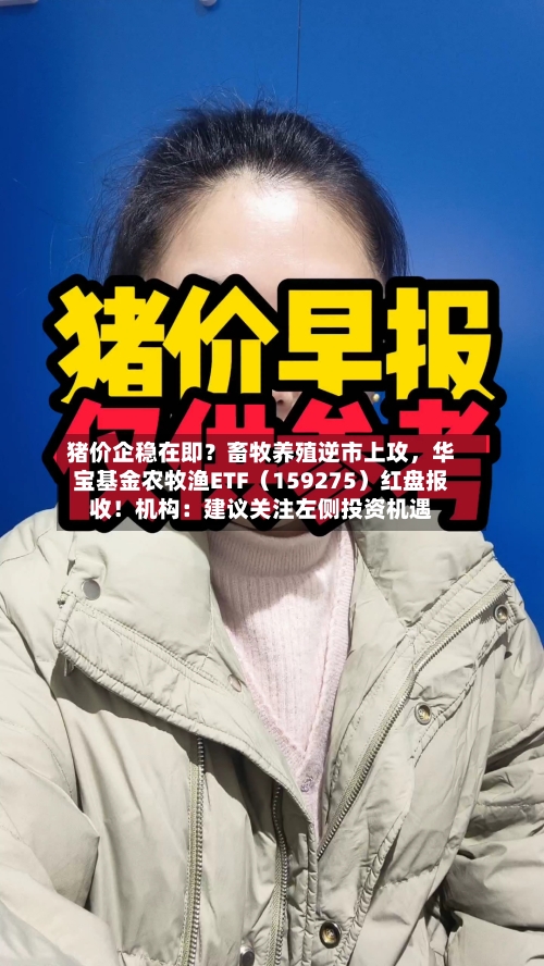 猪价企稳在即？畜牧养殖逆市上攻	，华宝基金农牧渔ETF（159275）红盘报收！机构：建议关注左侧投资机遇-第2张图片