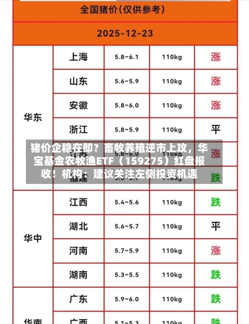 猪价企稳在即？畜牧养殖逆市上攻，华宝基金农牧渔ETF（159275）红盘报收！机构：建议关注左侧投资机遇-第3张图片