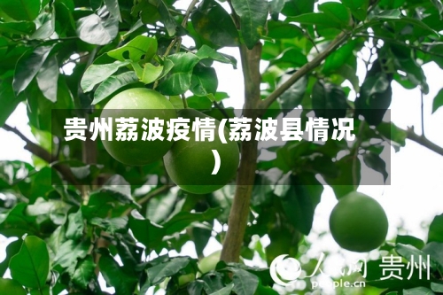 贵州荔波疫情(荔波县情况)