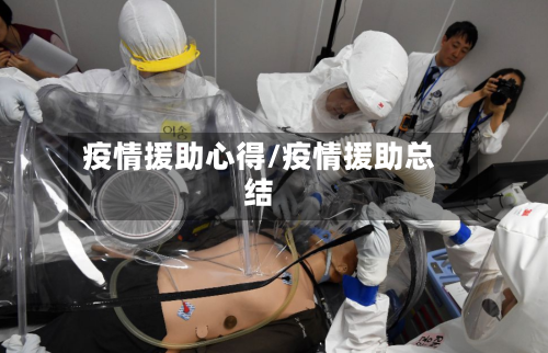 疫情援助心得/疫情援助总结