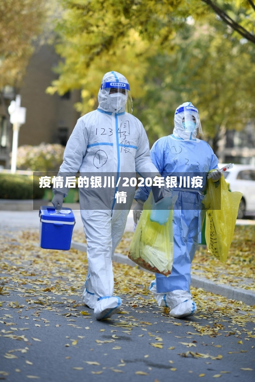 疫情后的银川/2020年银川疫情