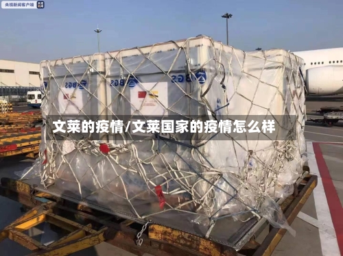 文莱的疫情/文莱国家的疫情怎么样-第3张图片