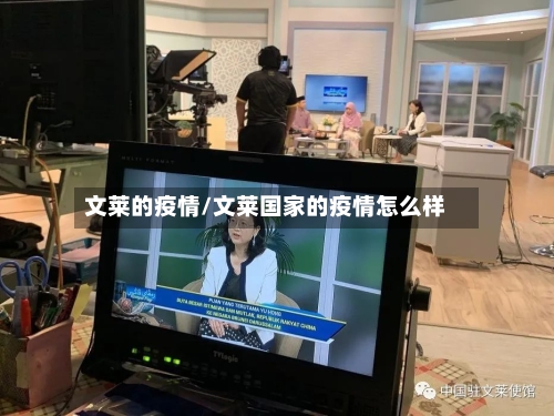文莱的疫情/文莱国家的疫情怎么样
