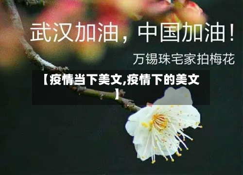 【疫情当下美文,疫情下的美文】-第3张图片