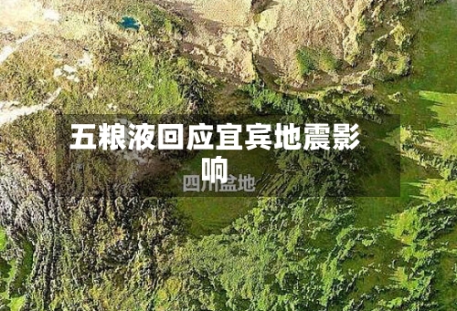 五粮液回应宜宾地震影响
