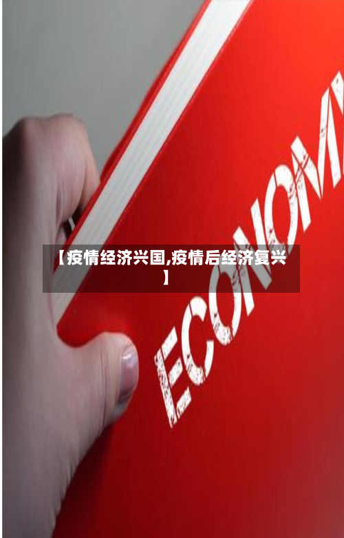 【疫情经济兴国,疫情后经济复兴】-第3张图片