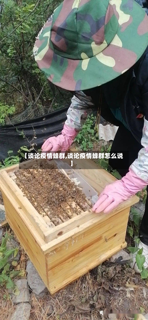 【谈论疫情蜂群,谈论疫情蜂群怎么说】-第2张图片