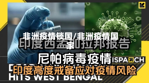 非洲疫情锁国/非洲疫情国家