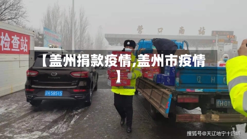 【盖州捐款疫情,盖州市疫情】-第2张图片