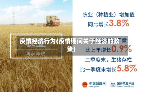 疫情经济行为(疫情期间关于经济的政策)