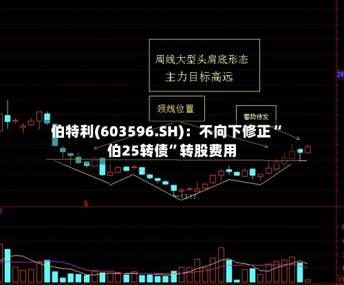 伯特利(603596.SH)：不向下修正“伯25转债”转股费用