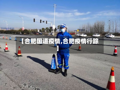 【合肥国道疫情,合肥疫情行踪】-第2张图片
