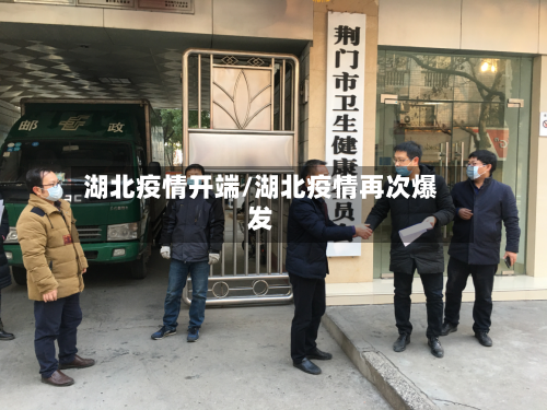湖北疫情开端/湖北疫情再次爆发