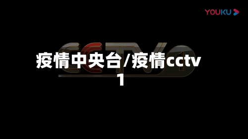 疫情中央台/疫情cctv1-第2张图片