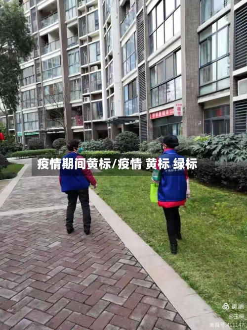 疫情期间黄标/疫情 黄标 绿标-第2张图片