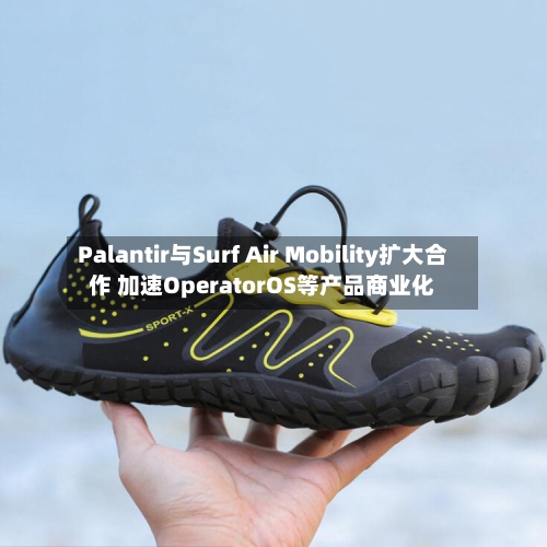 Palantir与Surf Air Mobility扩大合作 加速OperatorOS等产品商业化