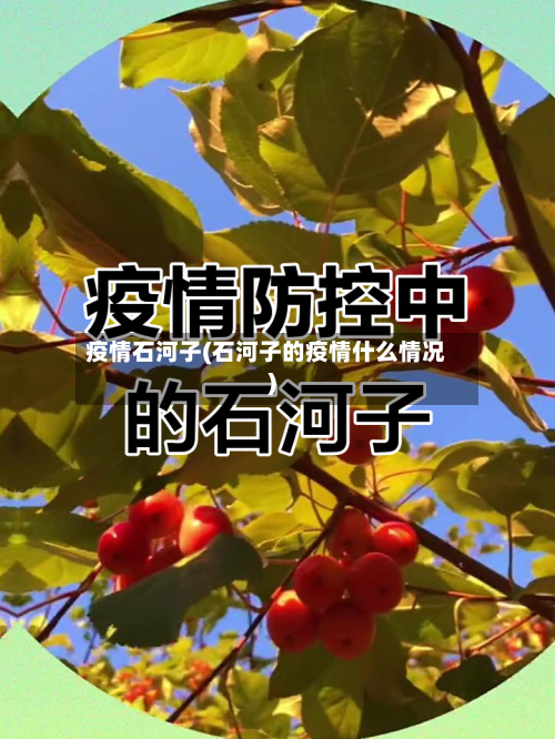 疫情石河子(石河子的疫情什么情况)-第2张图片