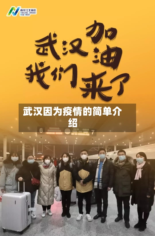 武汉因为疫情的简单介绍