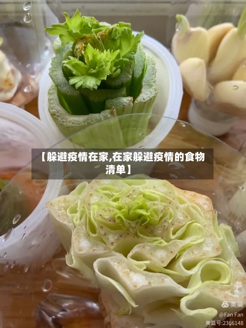 【躲避疫情在家,在家躲避疫情的食物清单】-第2张图片