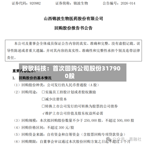 致欧科技：首次回购公司股份317900股