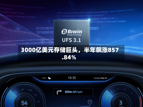 3000亿美元存储巨头，半年飙涨857.84%-第2张图片