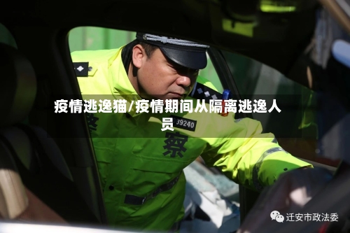 疫情逃逸猫/疫情期间从隔离逃逸人员-第2张图片