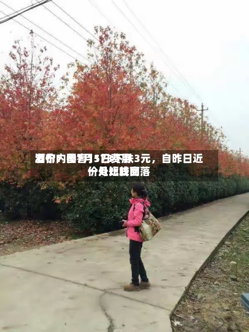 酒价内参7月1日费用发布：国窖1573下跌3元，自昨日近一月比较高价处短线回落-第3张图片