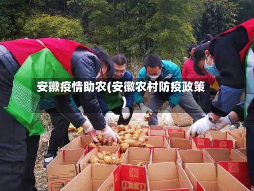安徽疫情助农(安徽农村防疫政策)-第2张图片
