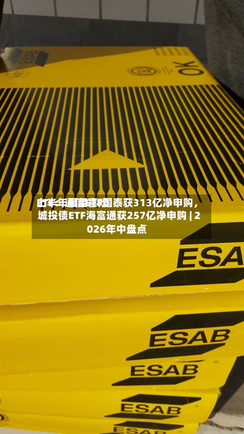 上半年最受喜欢ETF：通信ETF国泰获313亿净申购，城投债ETF海富通获257亿净申购 | 2026年中盘点