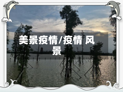 美景疫情/疫情 风景-第3张图片