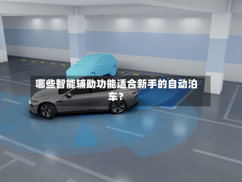 哪些智能辅助功能适合新手的自动泊车?-第2张图片