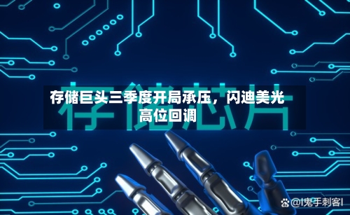 存储巨头三季度开局承压，闪迪美光高位回调-第2张图片