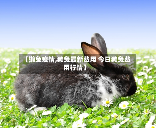 【獭兔疫情,獭兔最新费用 今日獭兔费用行情】-第2张图片