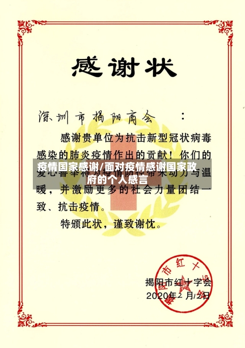 疫情国家感谢/面对疫情感谢国家政府的个人感言-第3张图片