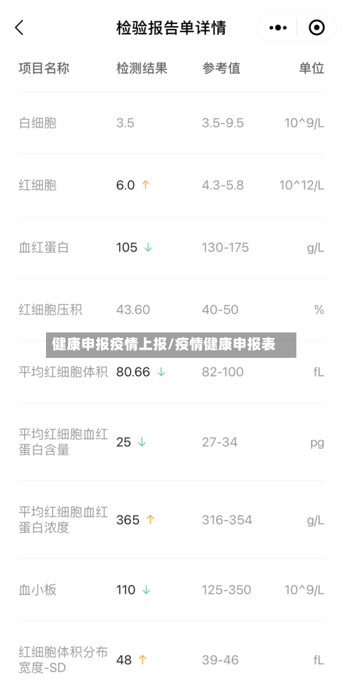 健康申报疫情上报/疫情健康申报表-第2张图片