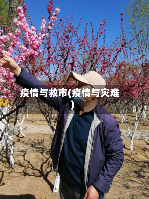 疫情与救市(疫情与灾难)